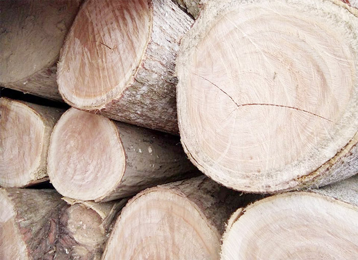 Gỗ tự nhiên ít được sử dụng trong các mẫu kệ gỗ One Tech
