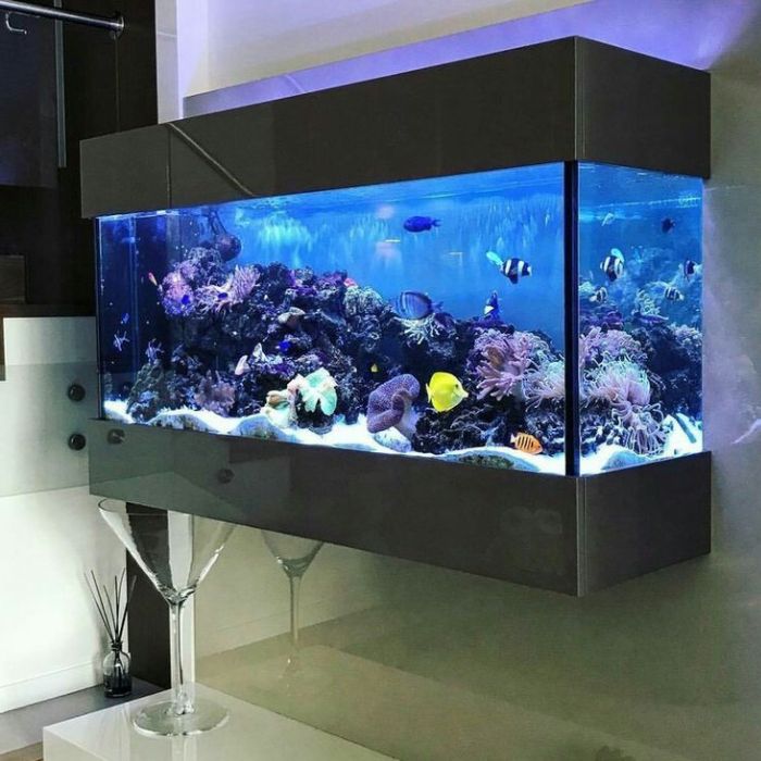 Kệ tủ để bể cá gắn tường tối ưu không gian