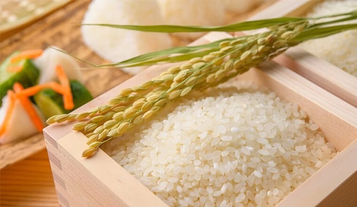 Tìm nguồn cung cấp gạo chất lượng, ổn định