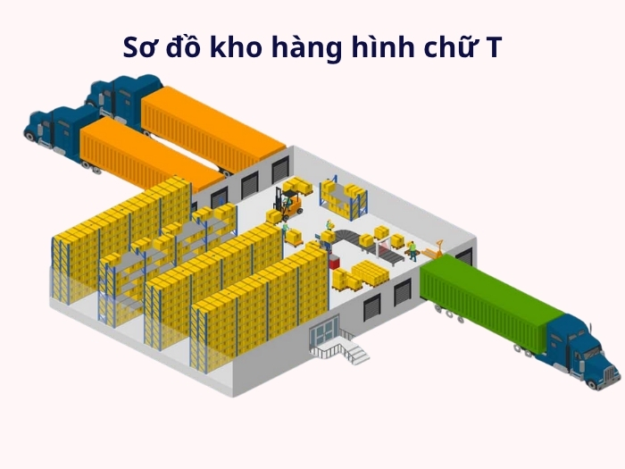 Sơ đồ kho phổ biến hình chứ T