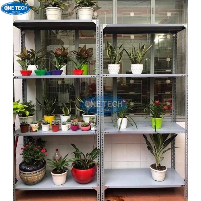 Có mặt bằng nên kinh doanh gì? - Cây cảnh là một lựa chọn an toàn