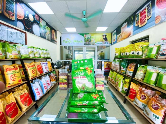 Thiết kế cửa hàng gạo
