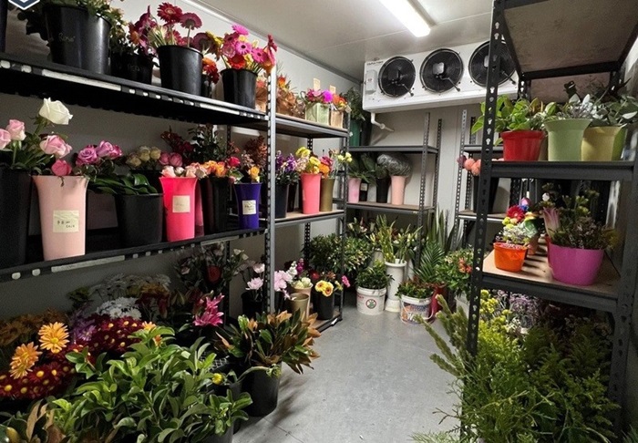 Kho lưu trữ hoa cần đảm bảo nhiệt độ ổn định